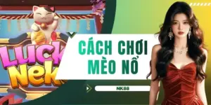 Cách chơi Mèo Nổ