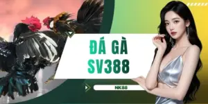 Đá gà SV388