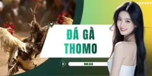 Đá gà Thomo