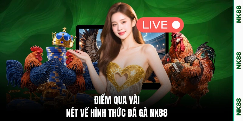 Điểm qua vài nét về hình thức đá gà NK88
