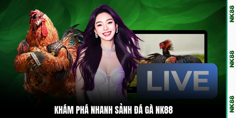 Khám phá nhanh sảnh đá gà NK88
