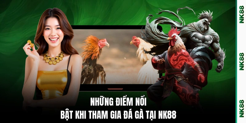 Những điểm nổi bật khi tham gia đá gà tại NK88