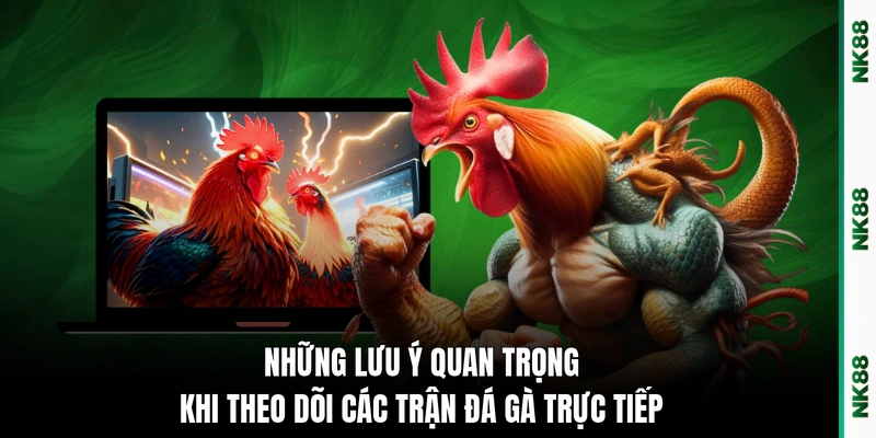 Những lưu ý quan trọng khi theo dõi các trận đá gà trực tiếp