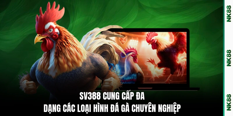 SV388 cung cấp đa dạng các loại hình đá gà chuyên nghiệp