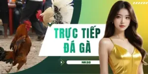 Trực tiếp đá gà